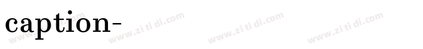 caption字体转换