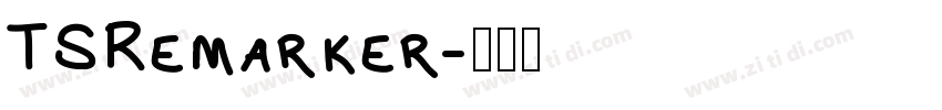 TSRemarker字体转换