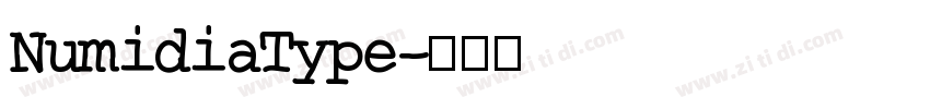 NumidiaType字体转换