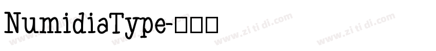 NumidiaType字体转换