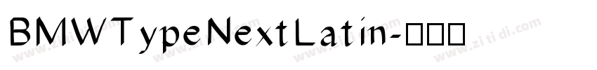 BMWTypeNextLatin字体转换