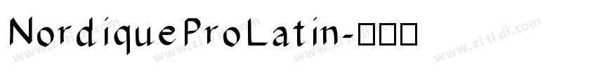 NordiqueProLatin字体转换