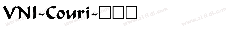 VNI-Couri字体转换