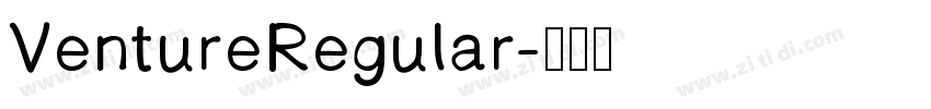 VentureRegular字体转换