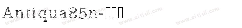Antiqua85n字体转换