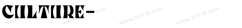 culture字体转换