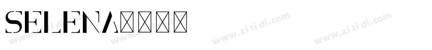 Selena字体转换