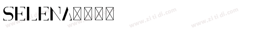 Selena字体转换