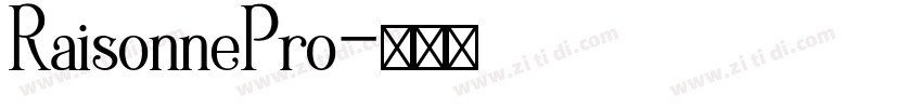 RaisonnePro字体转换
