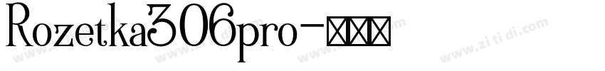 Rozetka306pro字体转换