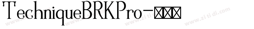 TechniqueBRKPro字体转换