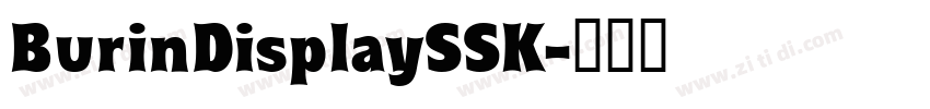 BurinDisplaySSK字体转换