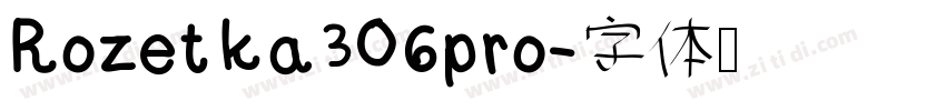 Rozetka306pro字体转换