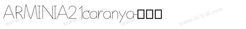 ARMINIA21caranya字体转换