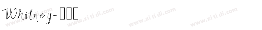 Whitney字体转换