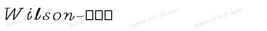 Wilson字体转换