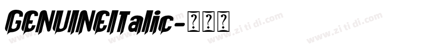 GENUINEItalic字体转换 GENUINEItalic字体转换