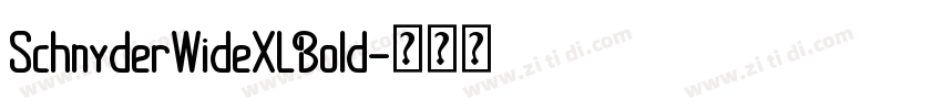 SchnyderWideXLBold字体转换