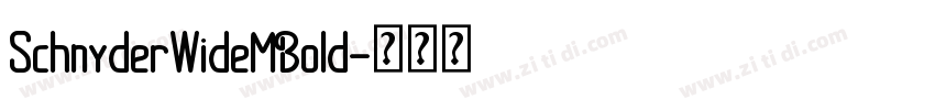 SchnyderWideMBold字体转换