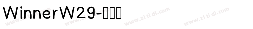 WinnerW29字体转换