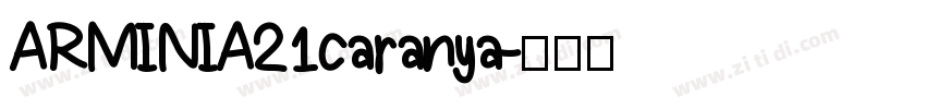 ARMINIA21caranya字体转换