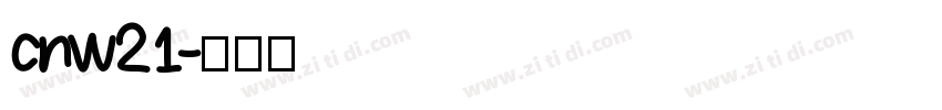 cnw21字体转换