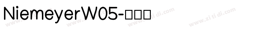 NiemeyerW05字体转换