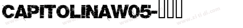 CapitolinaW05字体转换