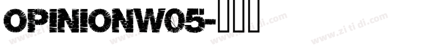 OpinionW05字体转换
