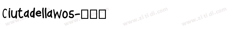 CiutadellaW05字体转换