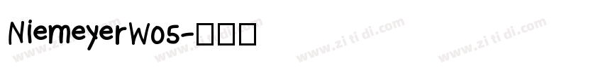 NiemeyerW05字体转换