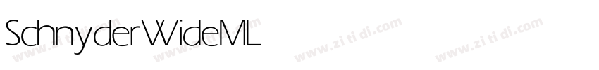 SchnyderWideMLight字体转换