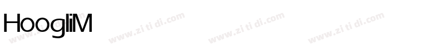 HoogliMedium字体转换