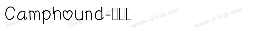 Camphound字体转换
