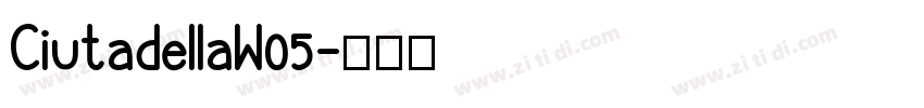 CiutadellaW05字体转换