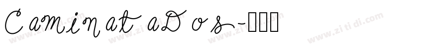 CaminataDos字体转换