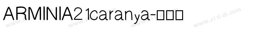 ARMINIA21caranya字体转换