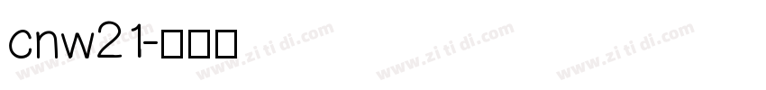 cnw21字体转换
