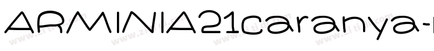 ARMINIA21caranya字体转换