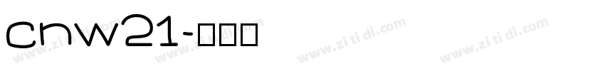 cnw21字体转换