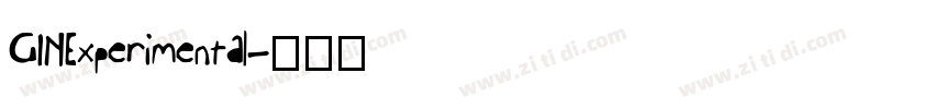 GINExperimental字体转换