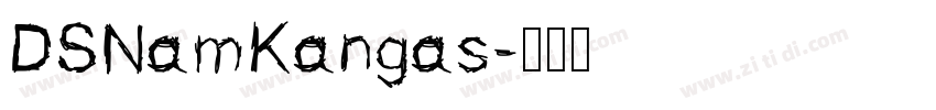 DSNamKangas字体转换