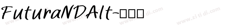 FuturaNDAlt字体转换