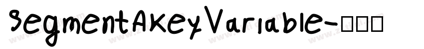 SegmentAKeyVariable字体转换