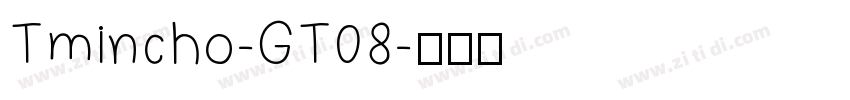 Tmincho-GT08字体转换