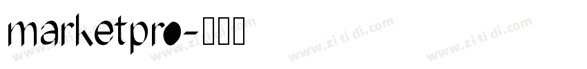 marketpro字体转换