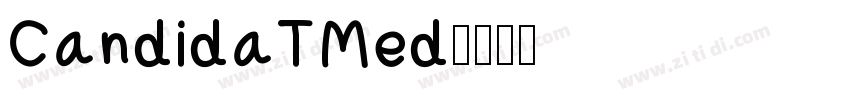 CandidaTMed字体转换