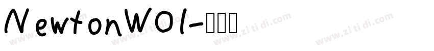 NewtonW01字体转换
