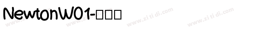 NewtonW01字体转换