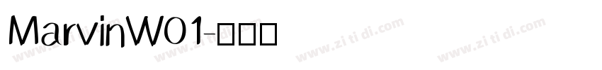 MarvinW01字体转换